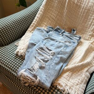 American Eagle Light Washed Skinny Jeans